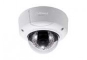 Dome IP Cameras