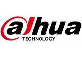 Dahua IP Cameras